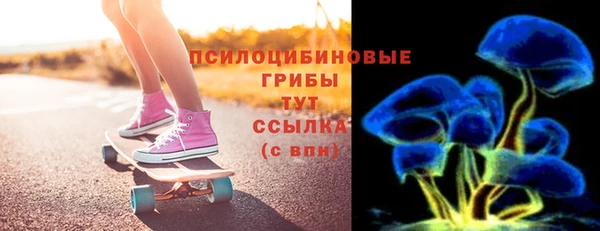 ГАЛЛЮЦИНОГЕННЫЕ ГРИБЫ Абаза