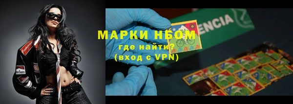 ГАЛЛЮЦИНОГЕННЫЕ ГРИБЫ Абаза