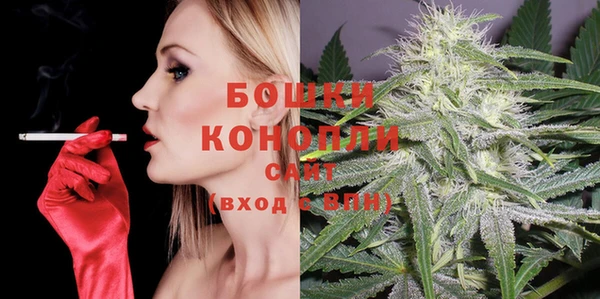 ГАЛЛЮЦИНОГЕННЫЕ ГРИБЫ Абаза