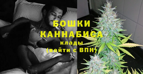 ГАЛЛЮЦИНОГЕННЫЕ ГРИБЫ Абаза