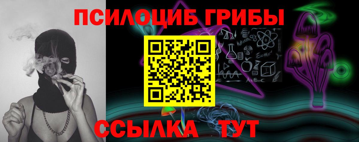 Тутаев  Галлюциногенные грибы GOLDEN TEACHER  Псилоцибиновые грибы мухоморы  Вход с VPN 